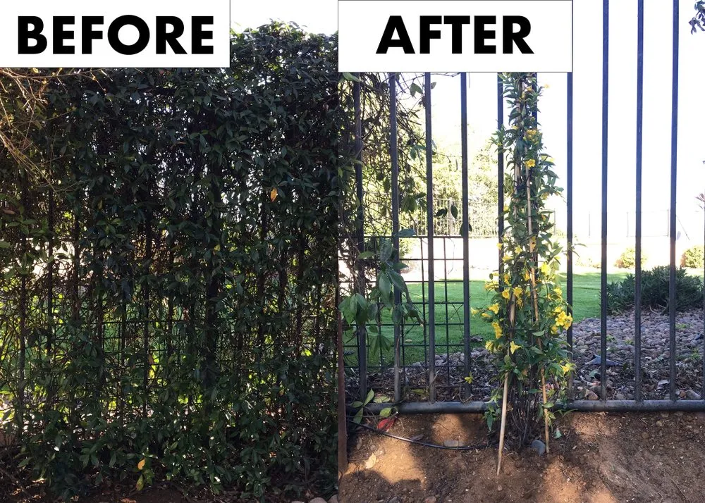 Trusted lawn mowing service in San Marcos, CA by Essential Landscaping Company