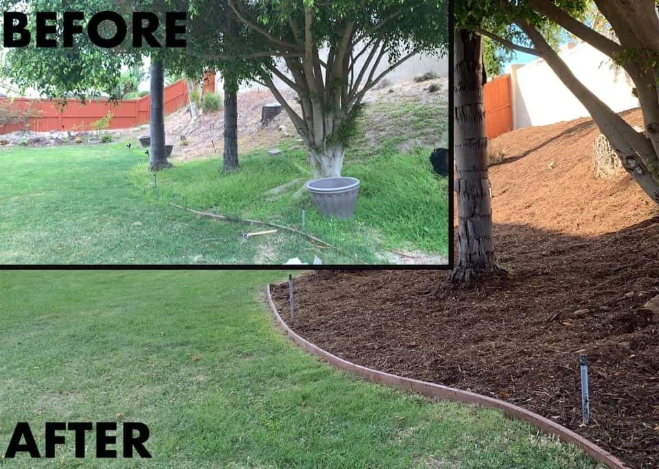 Professional landscape design in San Marcos, CA by Essential Landscaping Company