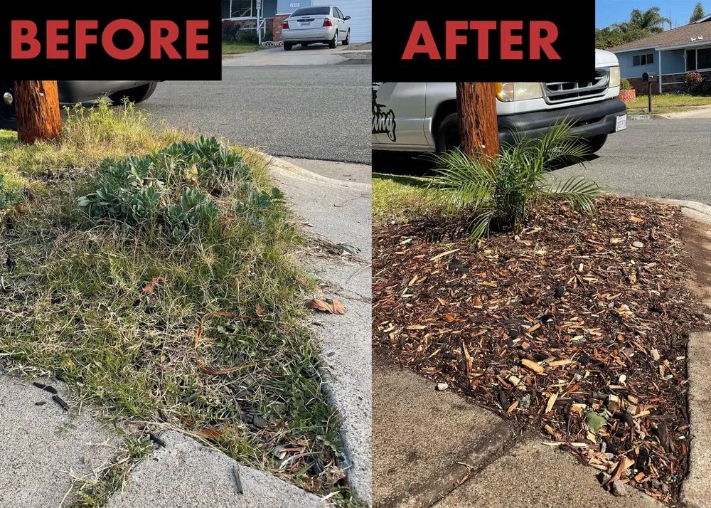 Reliable outdoor landscaping in San Marcos, CA - Essential Landscaping Company