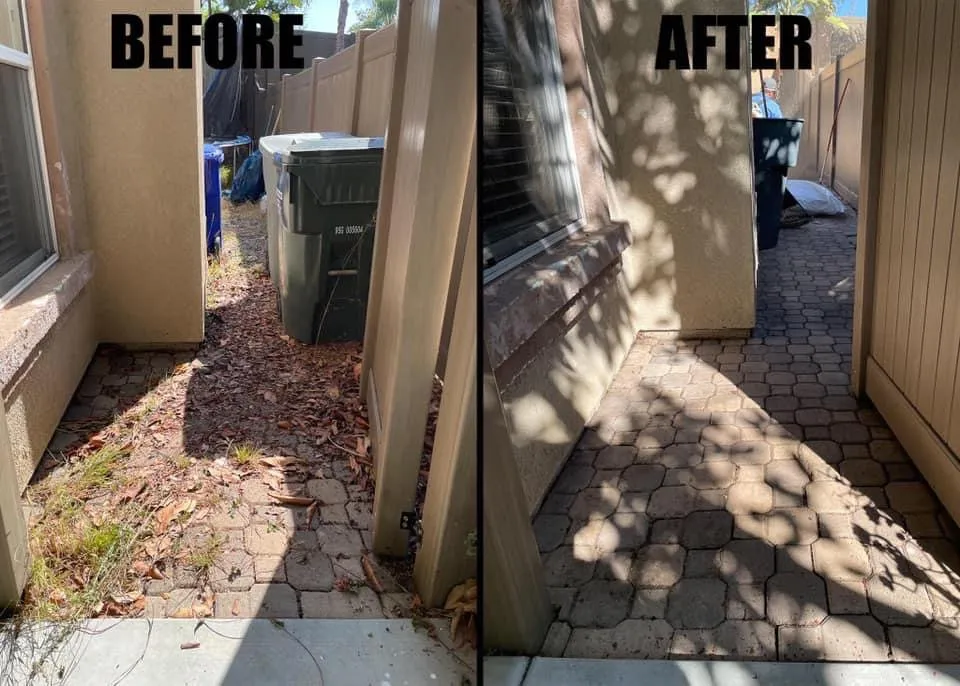 Trusted garden landscaping for year-round maintenance across San Marcos, CA - Essential Landscaping Company