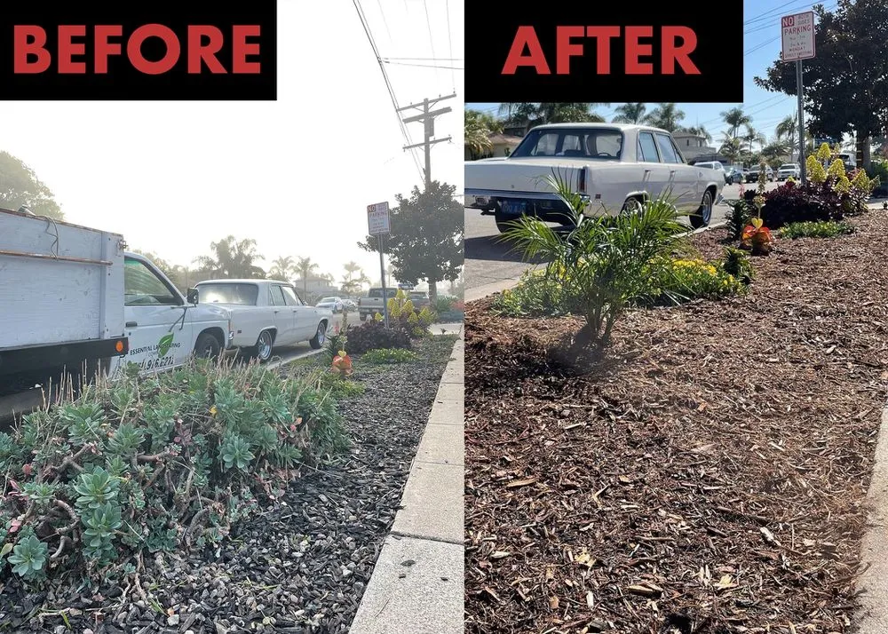 Professional landscape installation in San Marcos, CA by Essential Landscaping Company