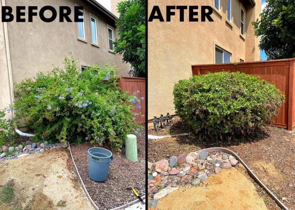 Local lawn mowing service in San Marcos, CA - Essential Landscaping Company