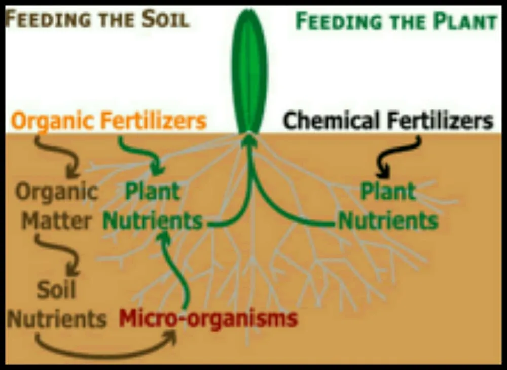 Reliable landscape design near you in Bangor, PA by Essential Lawn Care