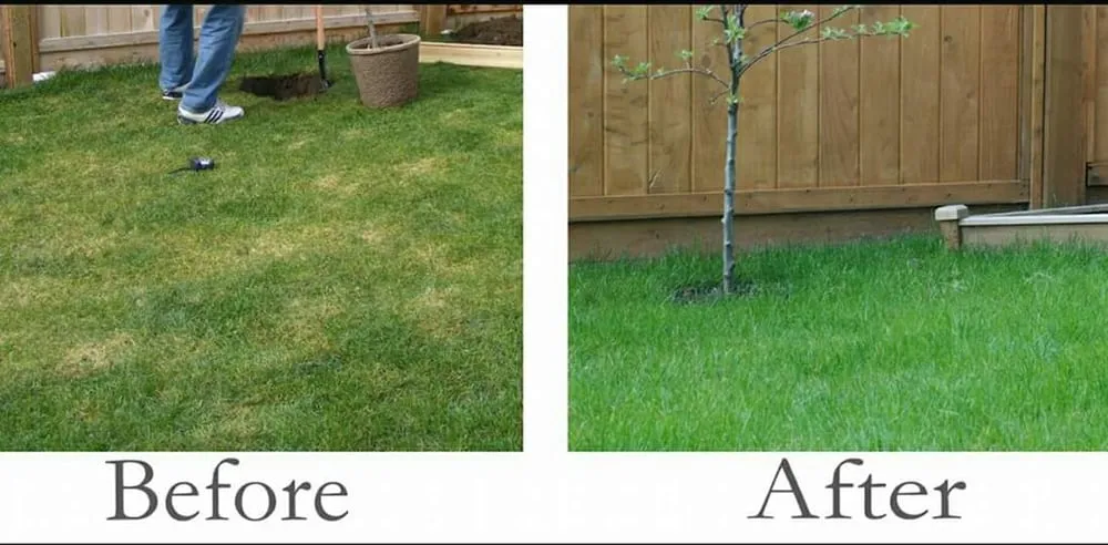 Custom landscape installation for outdoor upgrades in Bangor, PA by Essential Lawn Care