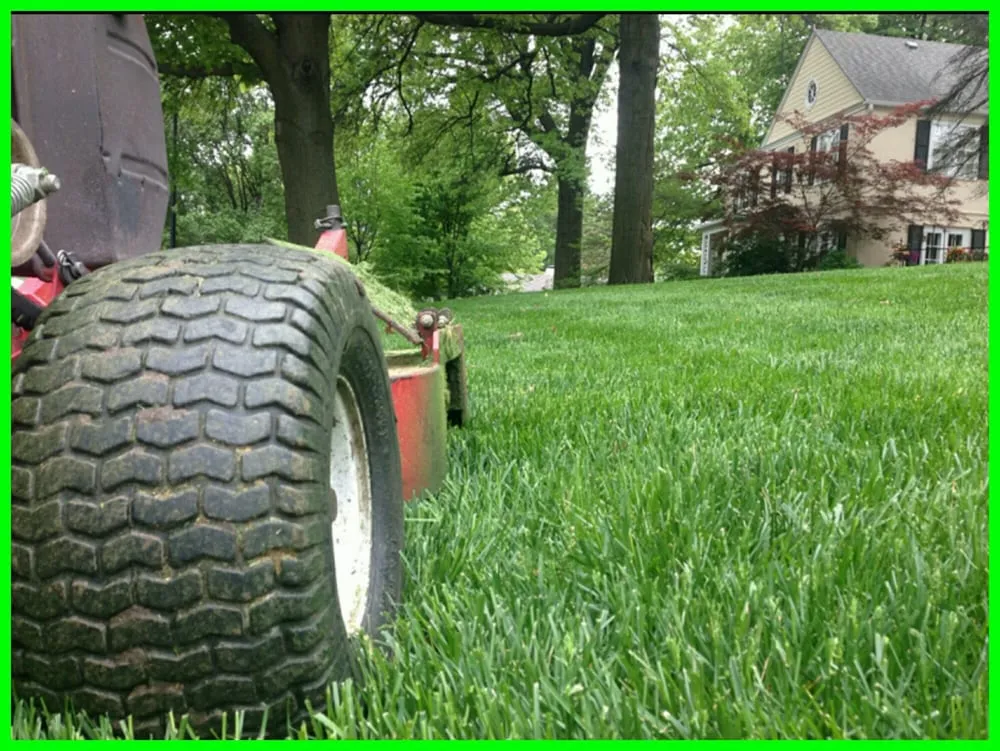 Reliable landscape installation in Bangor, PA - Essential Lawn Care