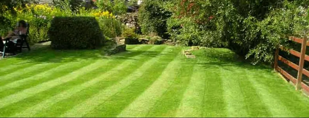 Professional yard maintenance in Bangor, PA by Essential Lawn Care