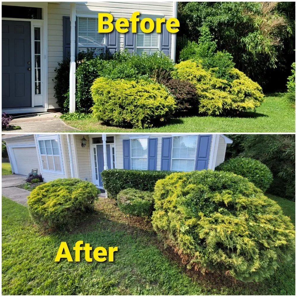 Local yard maintenance in Suffolk, VA by Essential Lawn Care
