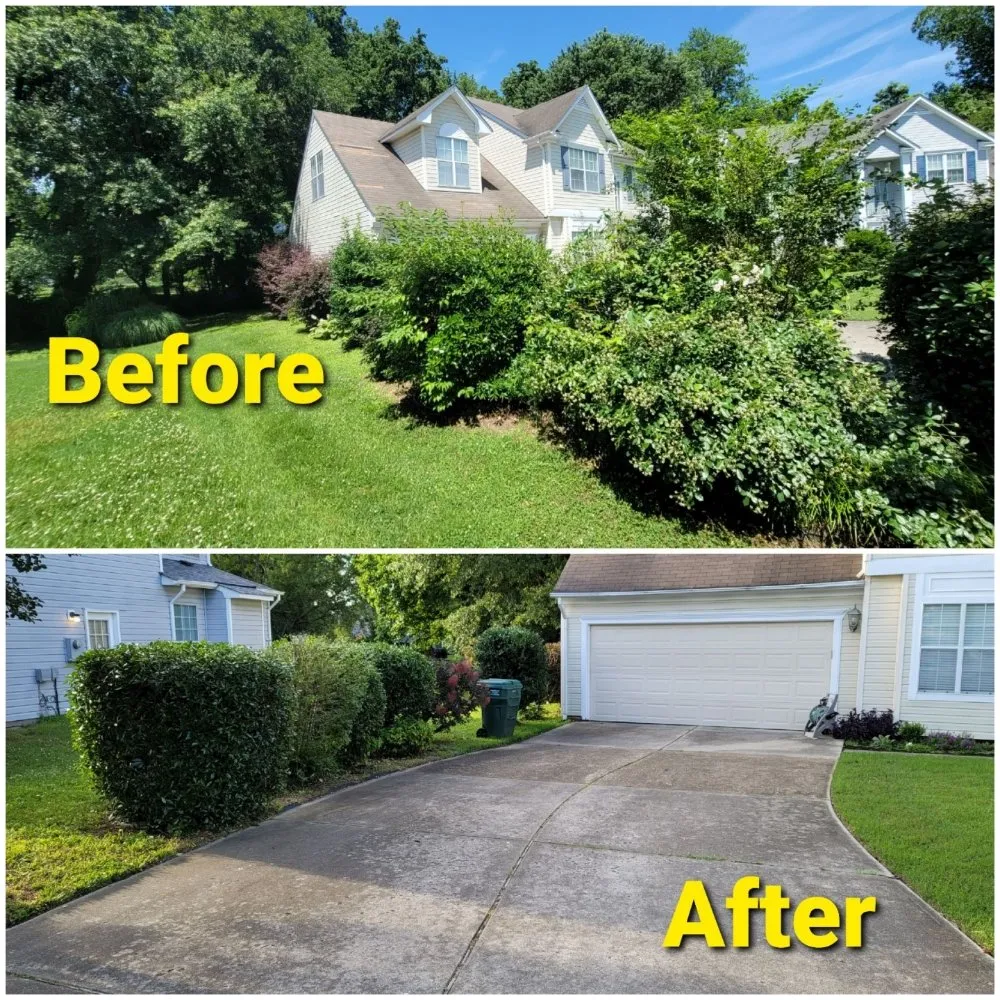 Expert yard cleanup service in Suffolk, VA - Essential Lawn Care