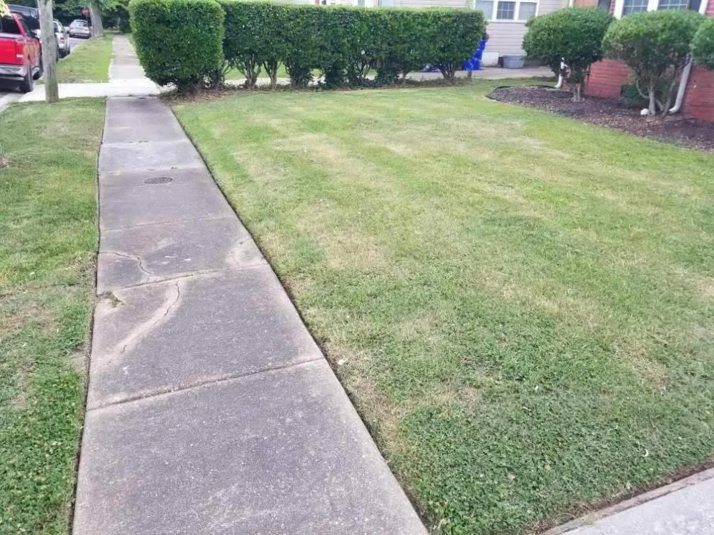 Reliable landscape installation experts serving Suffolk, VA - Essential Lawn Care