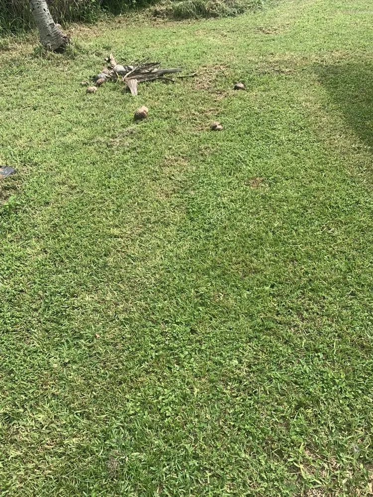 Trusted landscape design experts serving Homestead, FL - Essential Lawn Service