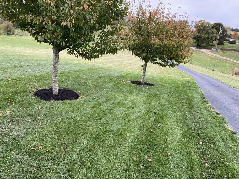 Reliable lawn care service in Afton, TN by Essential restoration landscaping