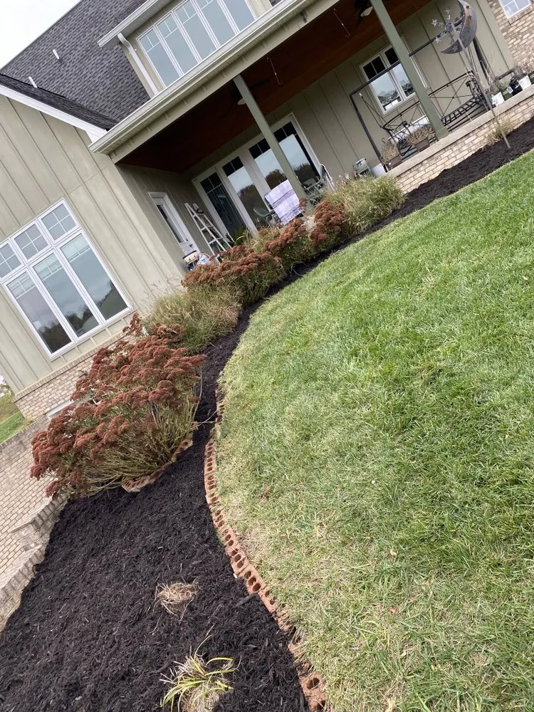 Reliable yard cleanup service for homes in Afton, TN by Essential restoration landscaping