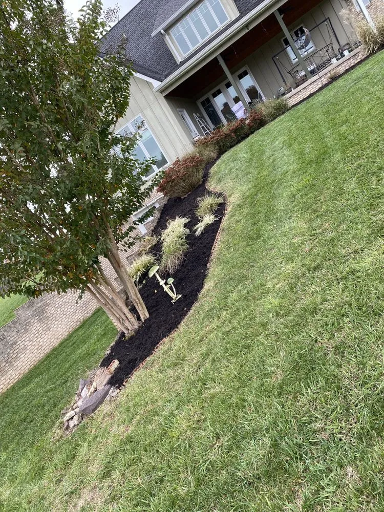 Local landscape installation near you across Afton, TN - Essential restoration landscaping