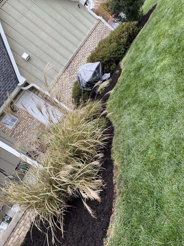 Professional landscape installation for beautiful yards across Afton, TN - Essential restoration landscaping