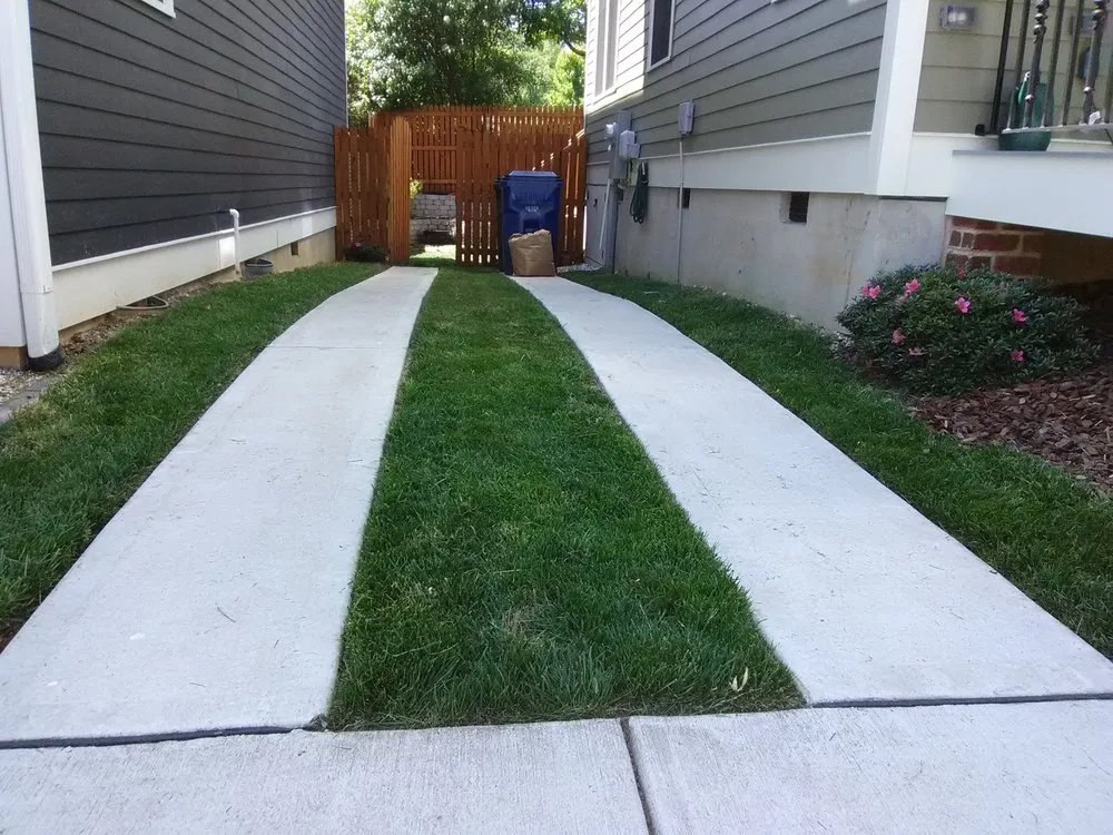 Professional landscaping services in Raleigh, NC by Essential Scapes