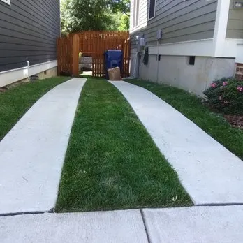 Reliable outdoor landscaping in Raleigh, NC - Essential Scapes