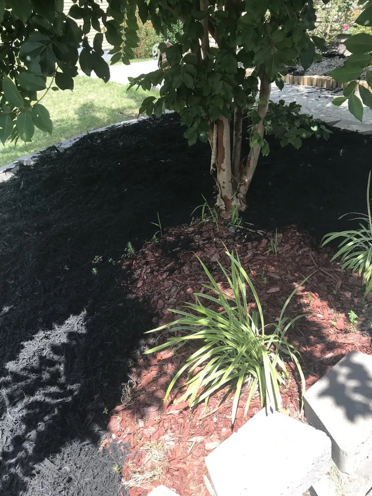 Affordable lawn mowing service experts serving Raleigh, NC - Essential Scapes