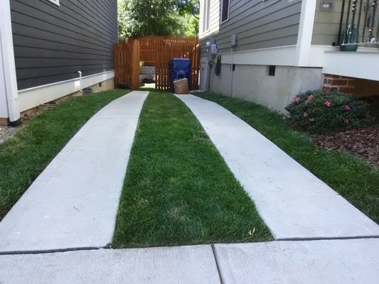 Essential Scapes Logo