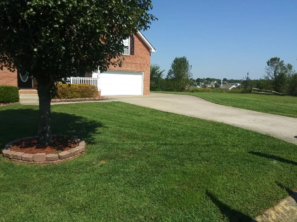 Expert landscape design for year-round maintenance across Cunningham, TN - Esser & Son's Lawn Care