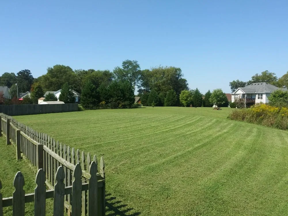 Affordable outdoor landscaping for outdoor upgrades in Cunningham, TN by Esser & Son's Lawn Care