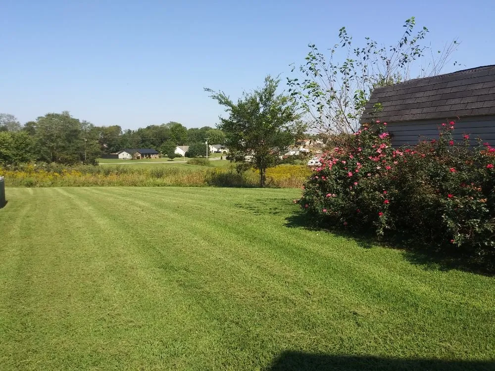 Professional landscaping services for residential properties across Cunningham, TN - Esser & Son's Lawn Care