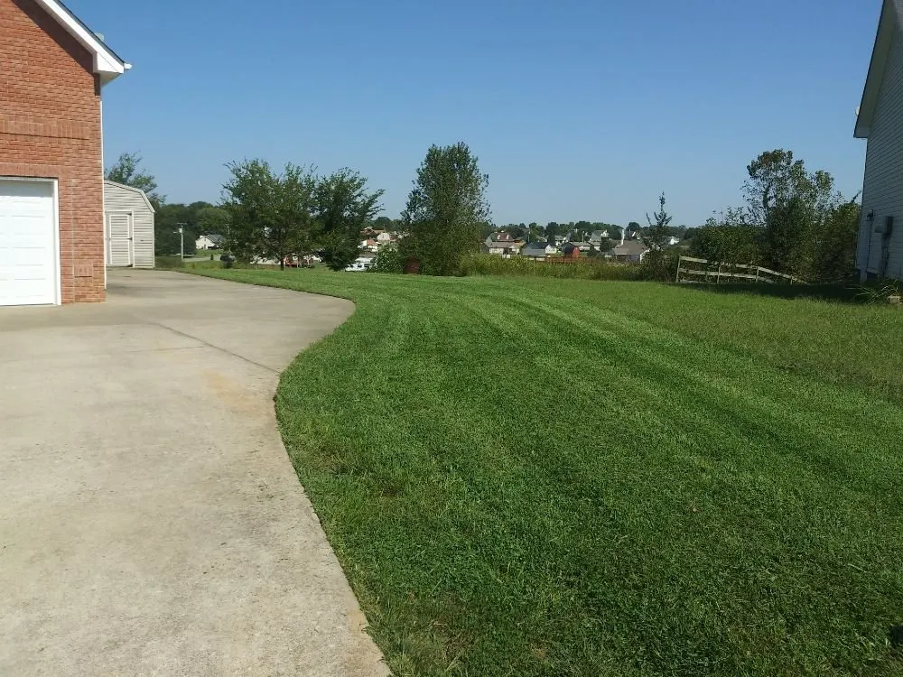 Top-rated lawn mowing service for year-round maintenance in Cunningham, TN by Esser & Son's Lawn Care