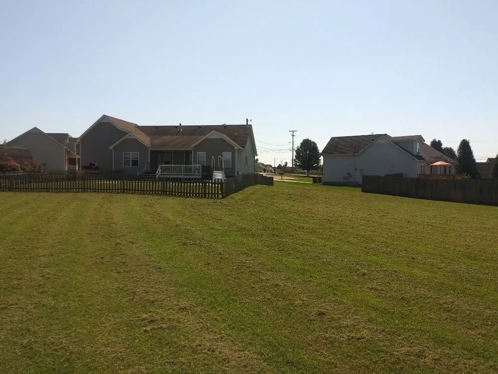 Reliable outdoor landscaping for year-round maintenance across Cunningham, TN - Esser & Son's Lawn Care