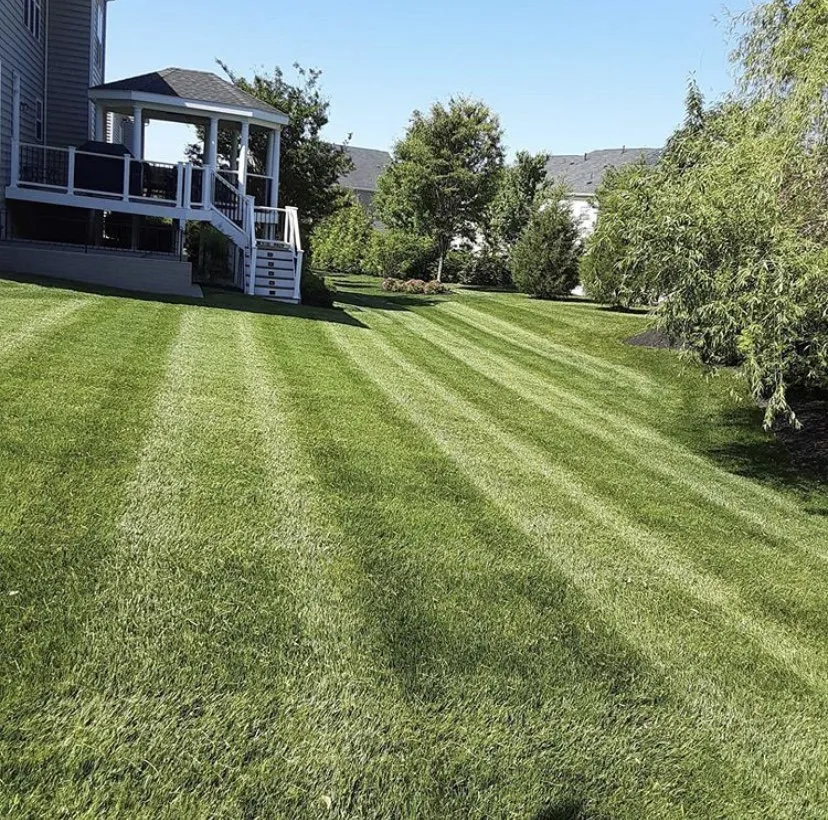 Local garden landscaping for year-round maintenance across Millsboro, DE - Est Coast Landscaping