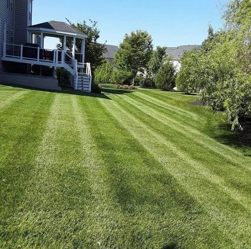 Top-rated yard cleanup service experts serving Millsboro, DE - Est Coast Landscaping