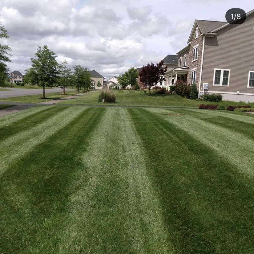 Expert landscape installation with custom design in Millsboro, DE by Est Coast Landscaping