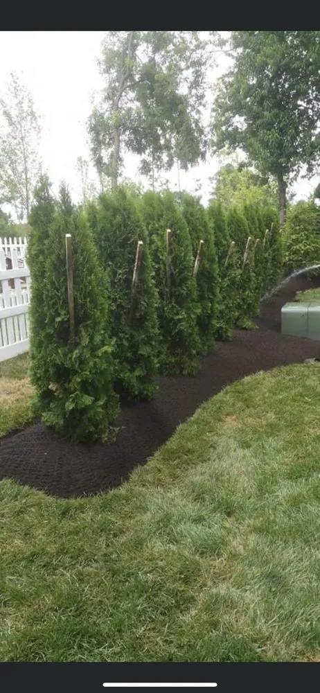 Affordable outdoor landscaping in Millsboro, DE - Est Coast Landscaping
