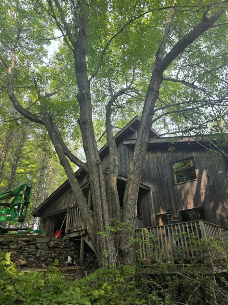 Professional landscape design in Pittsfield, ME by Estabrook