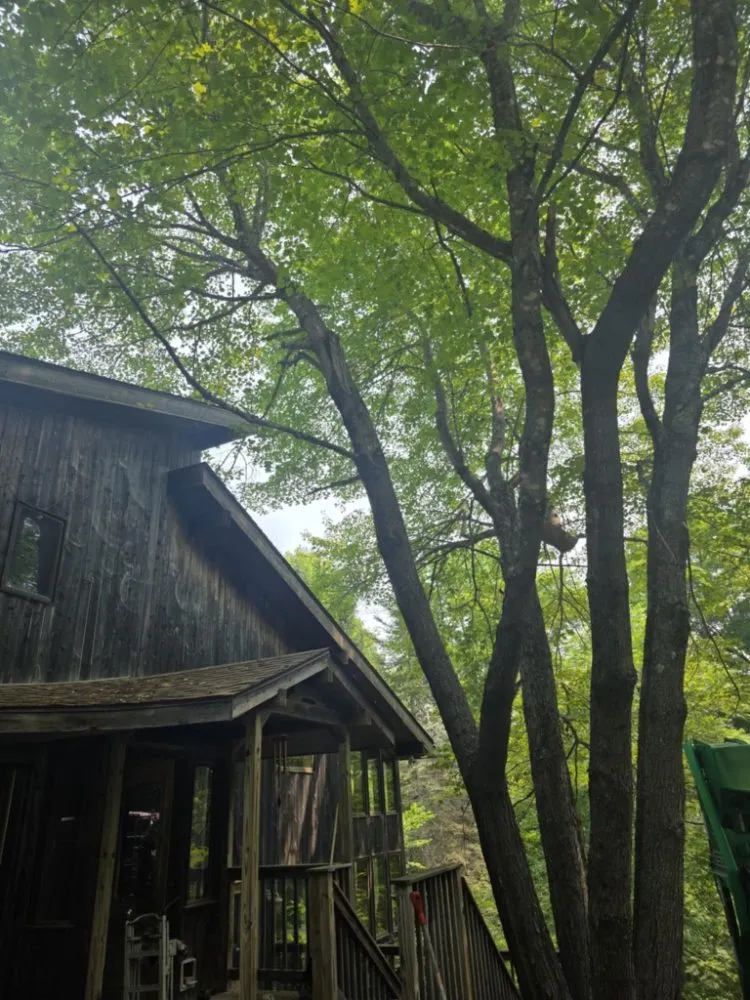 Professional lawn care service near you in Pittsfield, ME by Estabrook