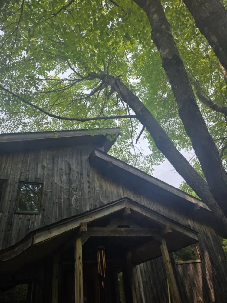 Reliable landscape installation experts serving Pittsfield, ME - Estabrook