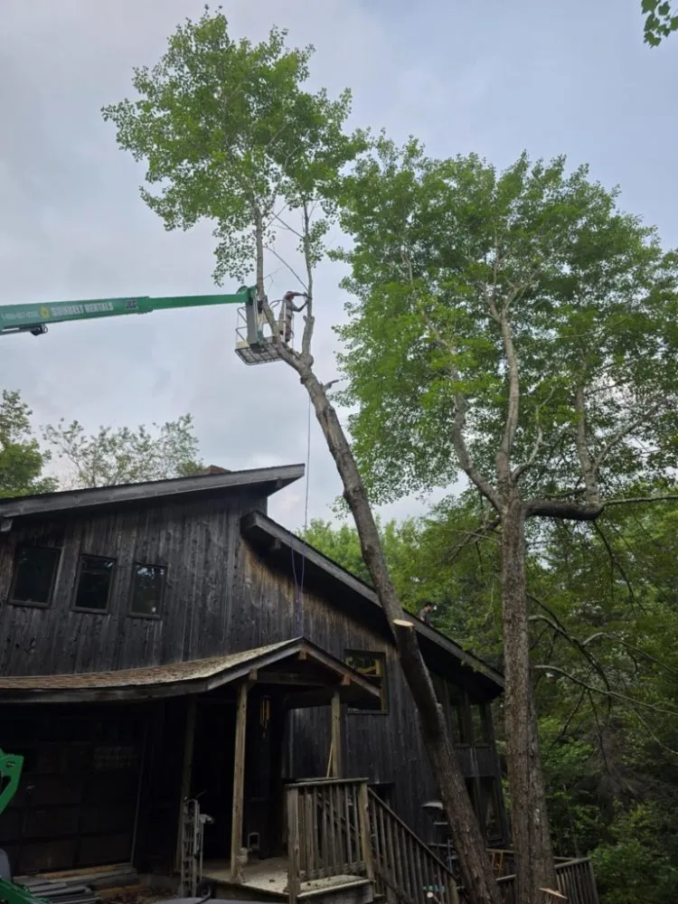 Top-rated residential landscaping with custom design across Pittsfield, ME - Estabrook