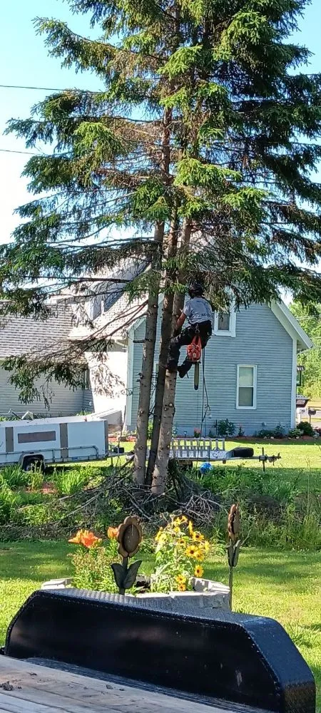 Top-rated landscaping services experts serving Pittsfield, ME - Estabrook