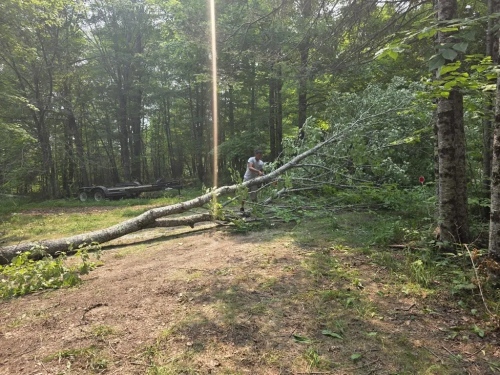 Custom landscaping services in Pittsfield, ME by Estabrook