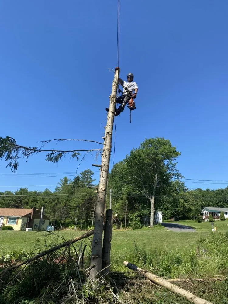 Top-rated garden landscaping for residential properties in Pittsfield, ME by Estabrook