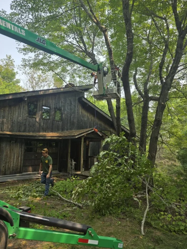 Expert yard cleanup service experts serving Pittsfield, ME - Estabrook