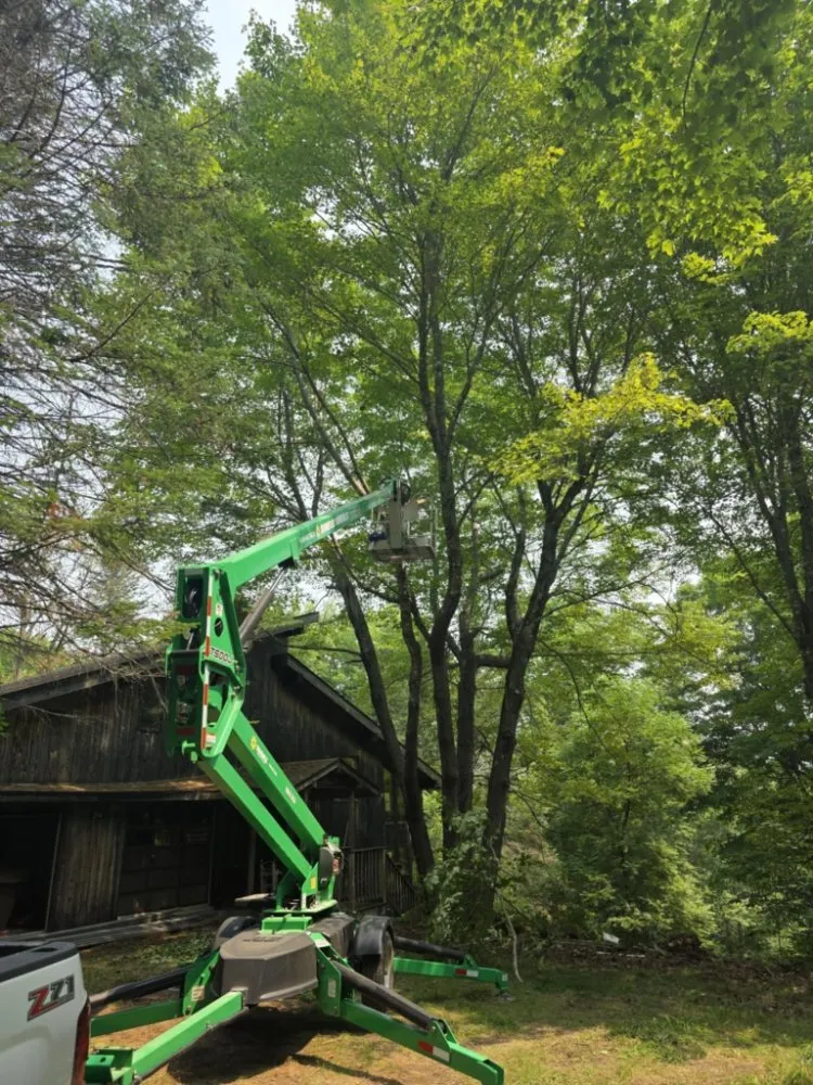 Custom lawn care service experts serving Pittsfield, ME - Estabrook