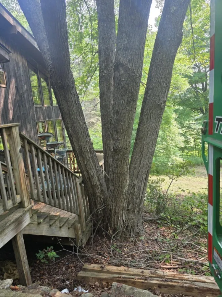 Top-rated outdoor landscaping for beautiful yards in Pittsfield, ME by Estabrook