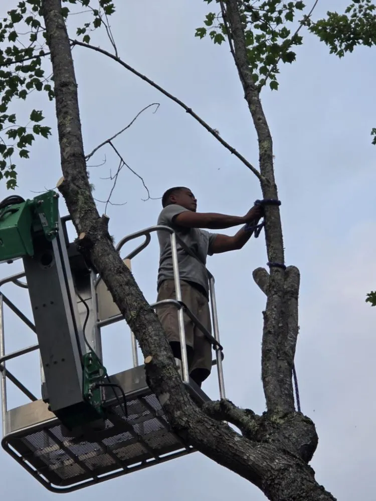 Expert lawn care service for beautiful yards in Pittsfield, ME by Estabrook