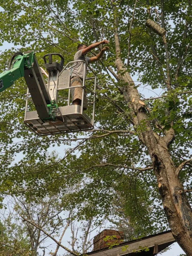 Affordable landscape installation near you across Pittsfield, ME - Estabrook