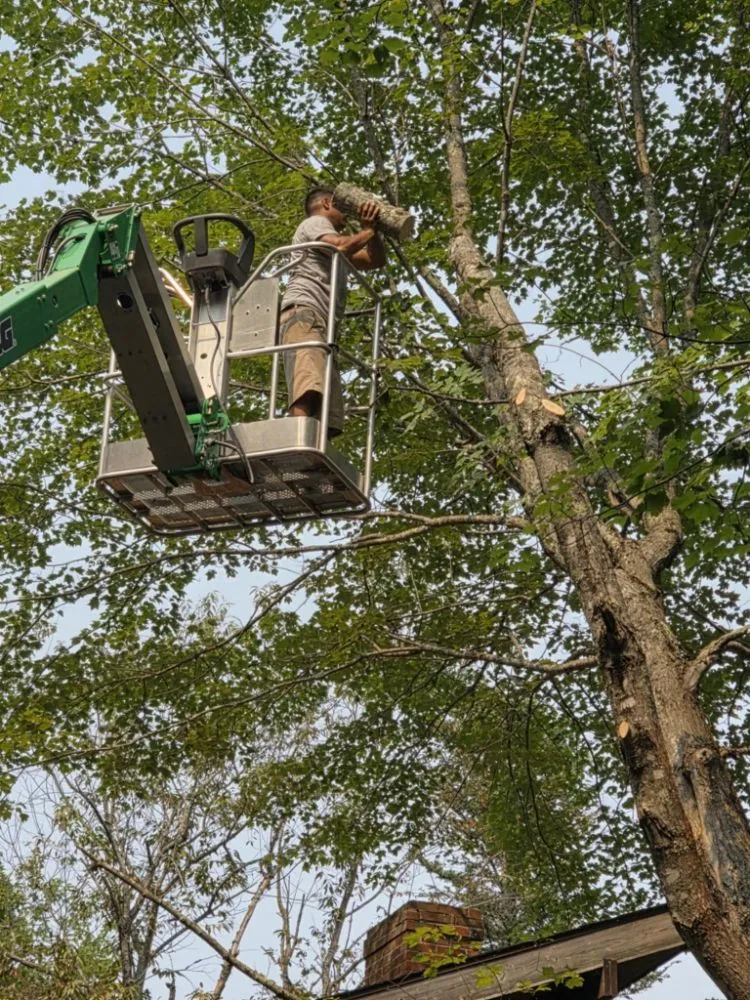 Expert landscape installation in Pittsfield, ME - Estabrook