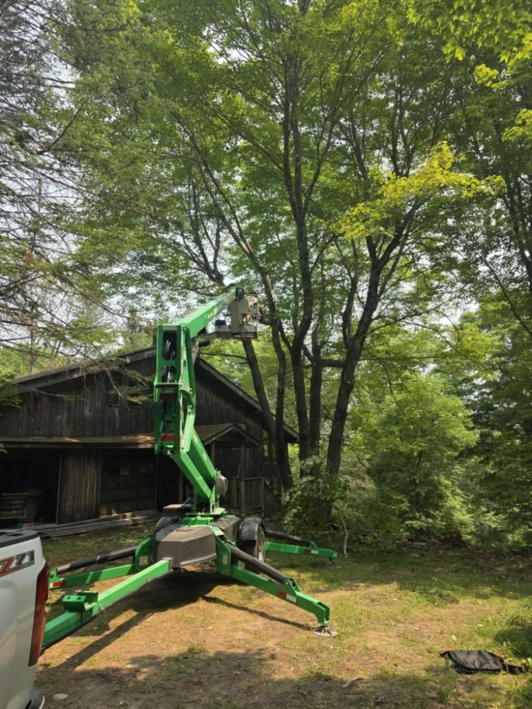 Professional yard maintenance experts serving Pittsfield, ME - Estabrook