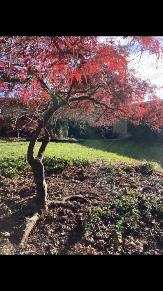 Trusted landscape installation in Clermont, GA by Estate & Lawn Care