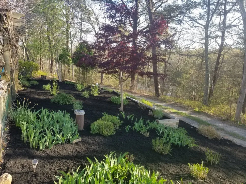 Local yard maintenance in Vineyard Haven, MA - Estate Care