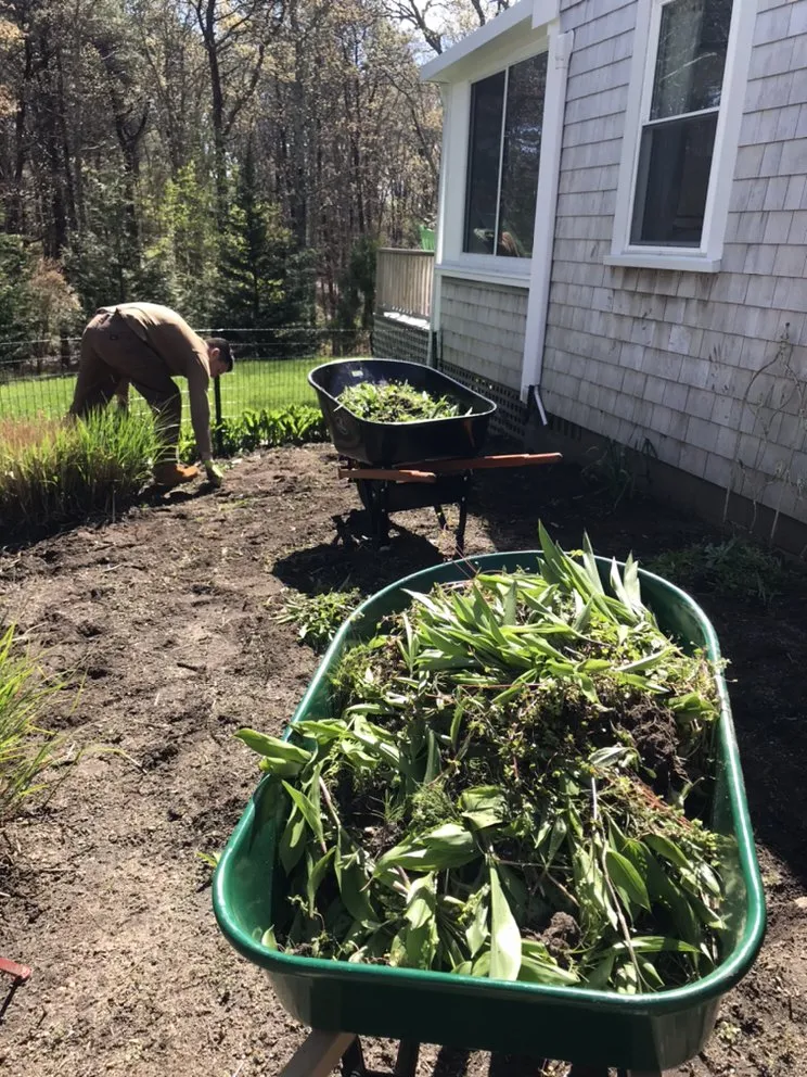 Affordable yard cleanup service for year-round maintenance across Vineyard Haven, MA - Estate Care