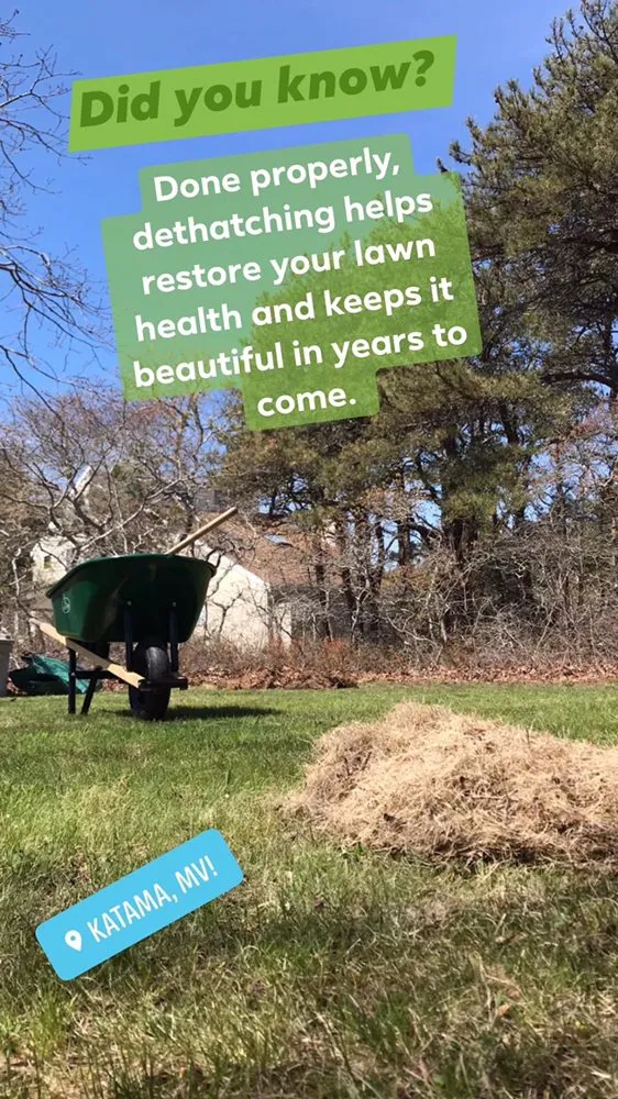 Professional yard cleanup service experts serving Vineyard Haven, MA - Estate Care