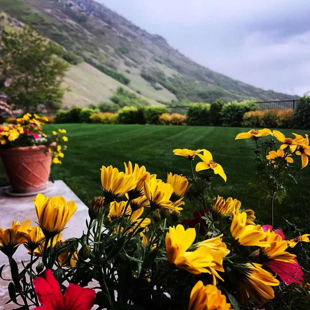 Local landscaping services experts serving Orem, UT - Estate Landscape